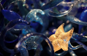 chihuly_star